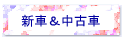 �V�ԁ����Î�