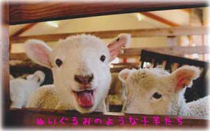 �ʂ�����݂̂悤�Ȏq�r����