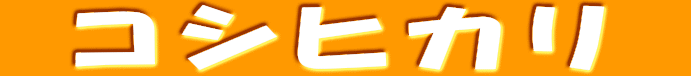  RVqJ 
