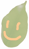 ͂ς