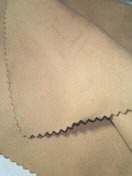 NXPic
