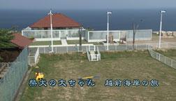 daiyou03