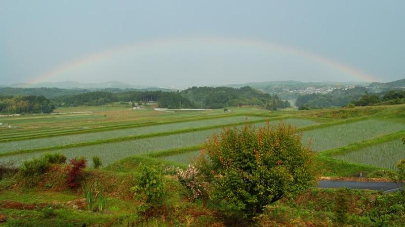 rainbowa