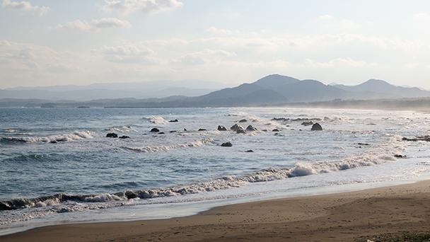 tosanoumib