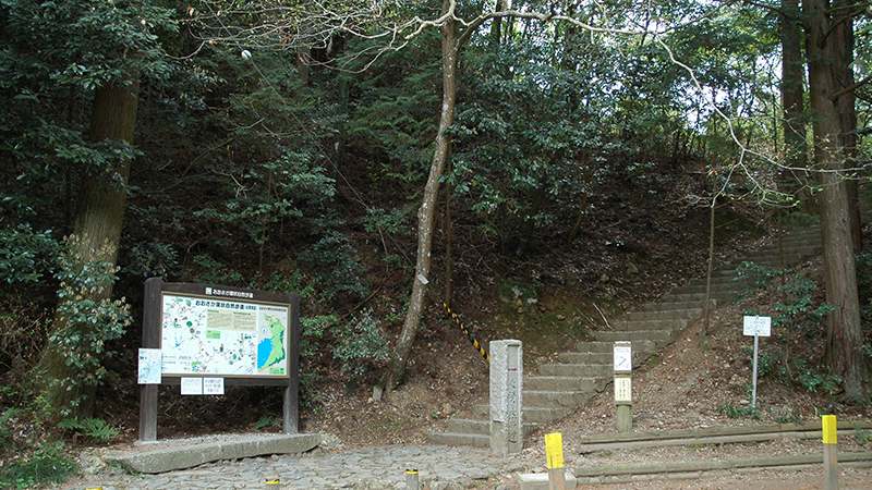 Thumbnail Image 1
