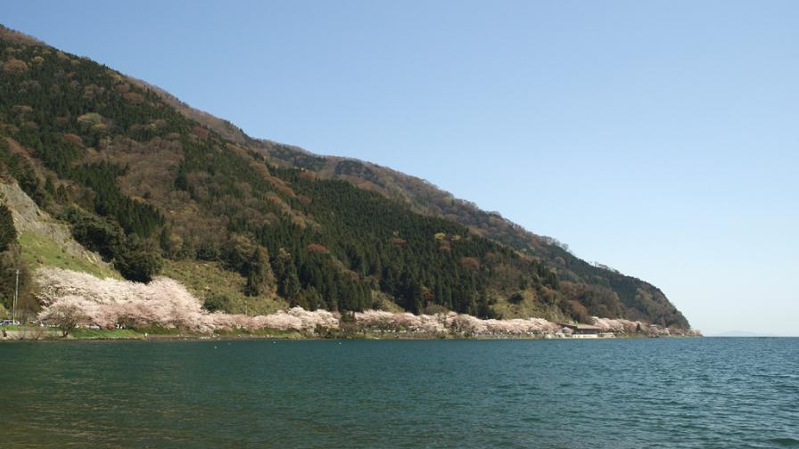 kaizub
