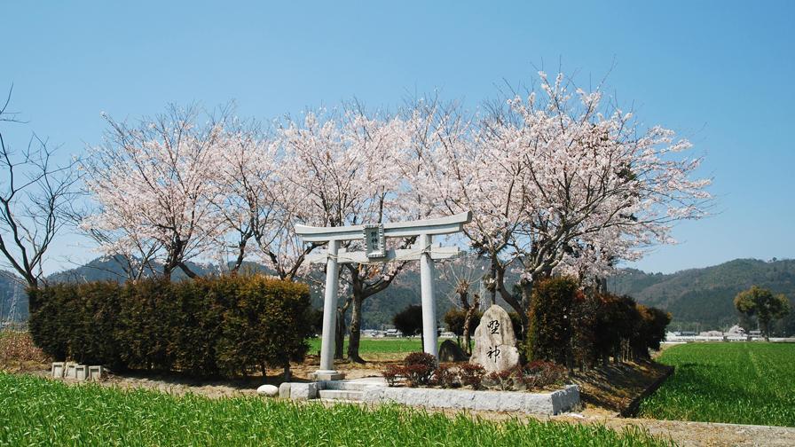 nojinjab
