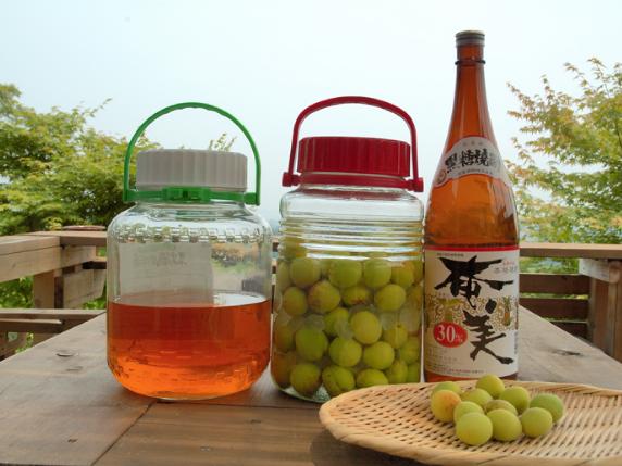 umeshu1