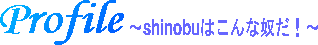 shinobu�̃v���t�B�`����